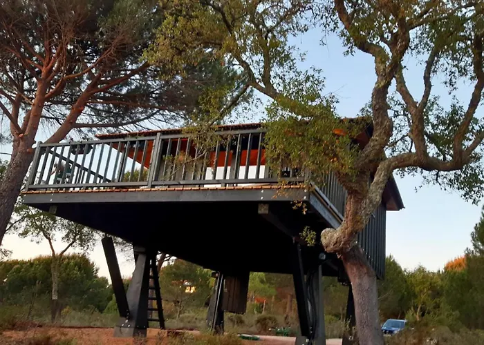 Ying Yang Monte Da Lua